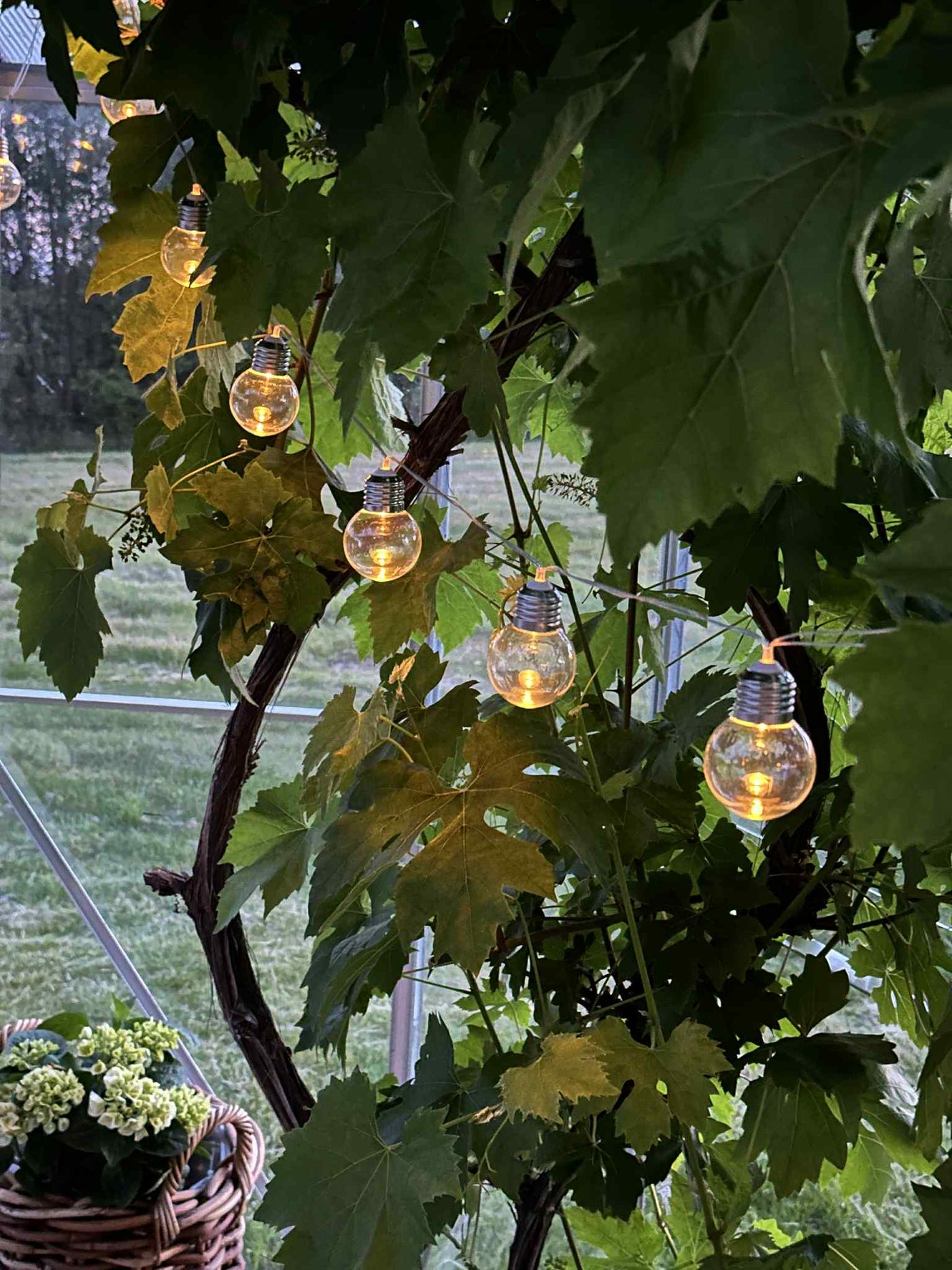 Laura™ – Solcelledriven LED-lysslinga