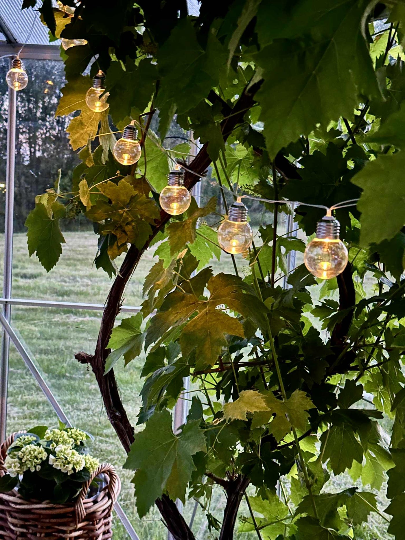 Laura™ – Solcelledriven LED-lysslinga