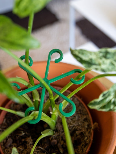 VineFrame™ – Stilfuld Planteholder