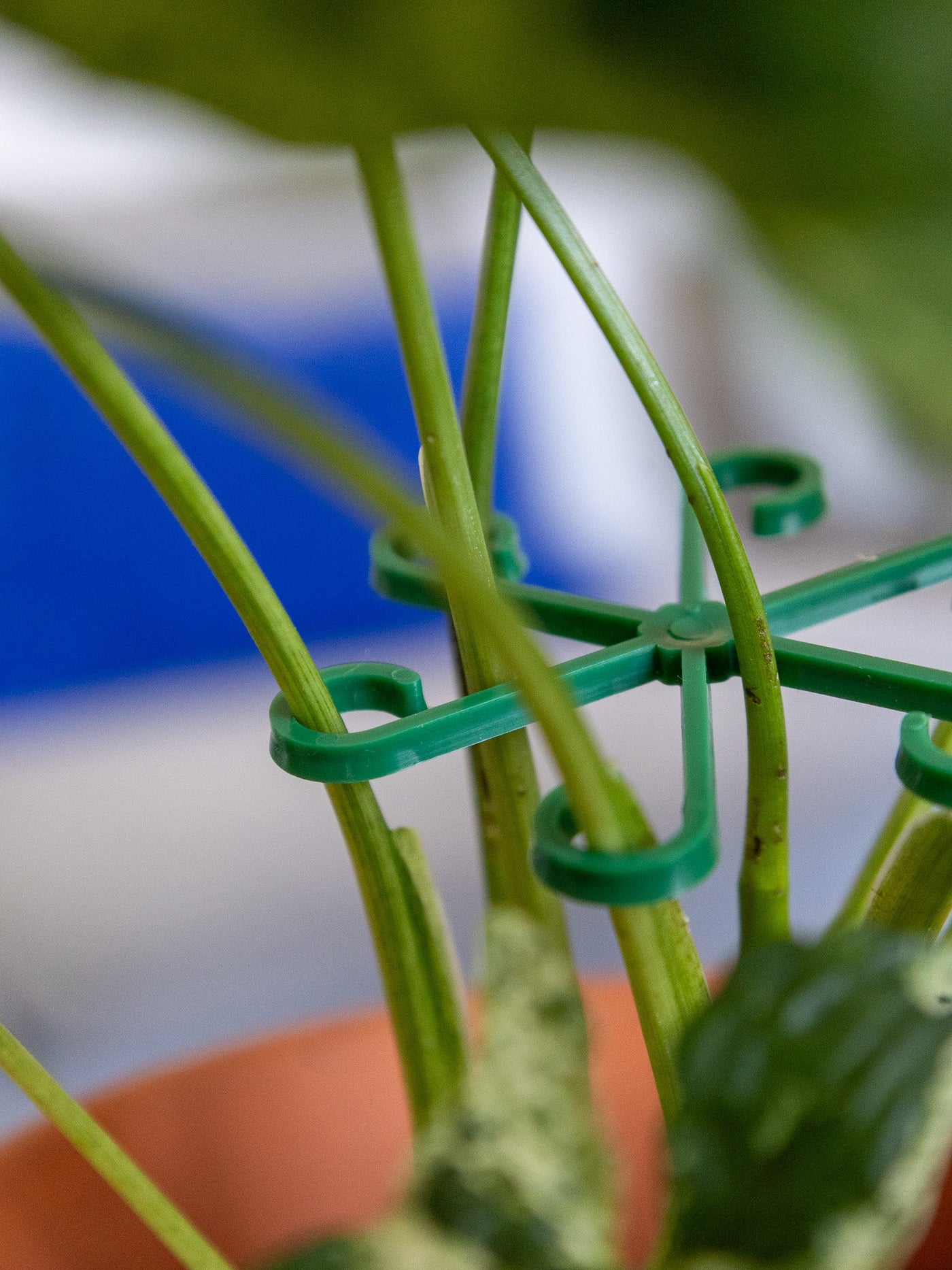 VineFrame™ – Stilfuld Planteholder