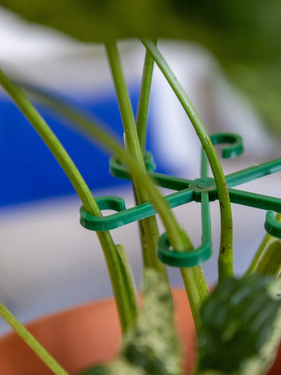 VineFrame™ – Stilfuld Planteholder