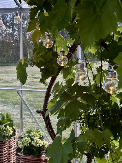 Laura™ – Solcelledriven LED-lysslinga