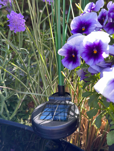 GlowGrass™ – Dekorativ Pampas med Solceller