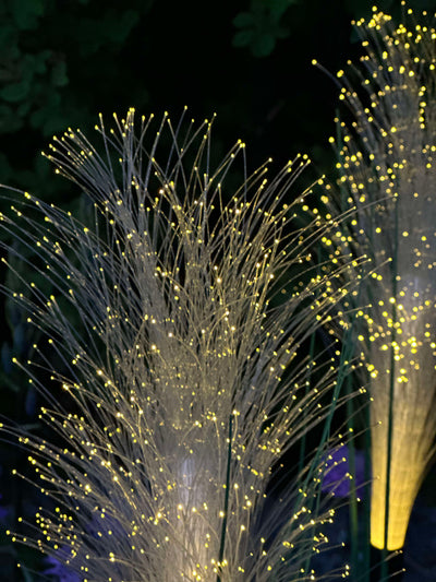 GlowGrass™ – Dekorativ Pampas med Solceller