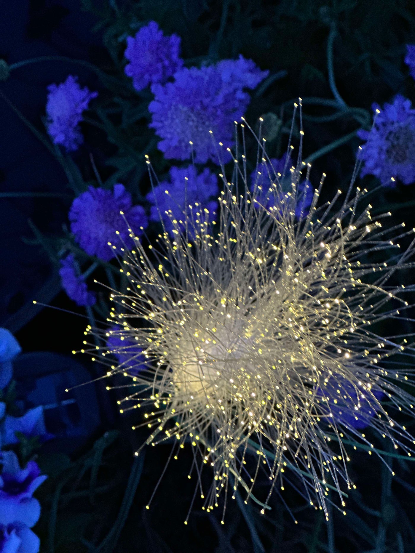 GlowGrass™ – Dekorativ Pampas med Solceller
