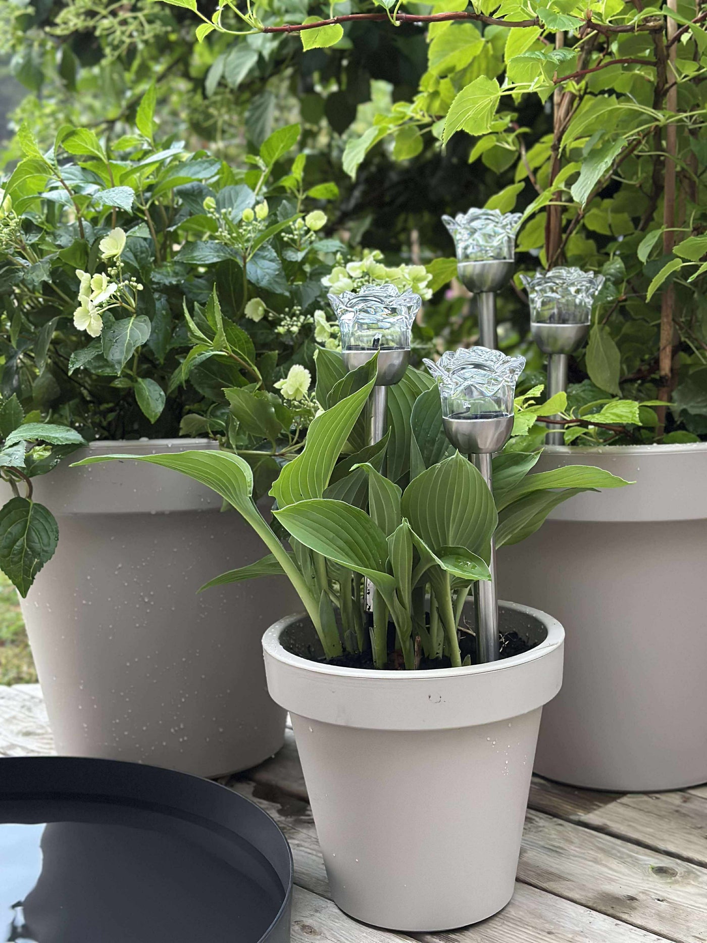SolarBloom™ – Solcelleblomstfakkel