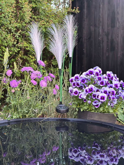GlowGrass™ – Dekorativ Pampas med Solceller