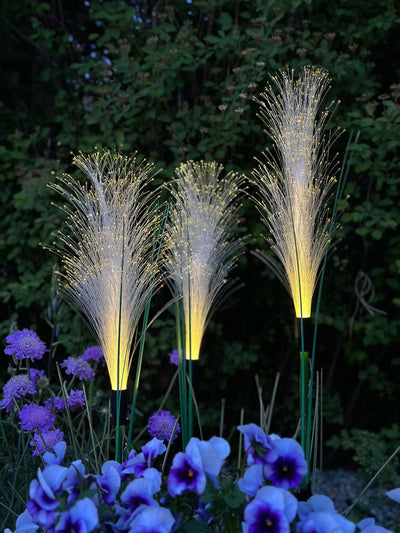 GlowGrass™ – Dekorativ Pampas med Solceller