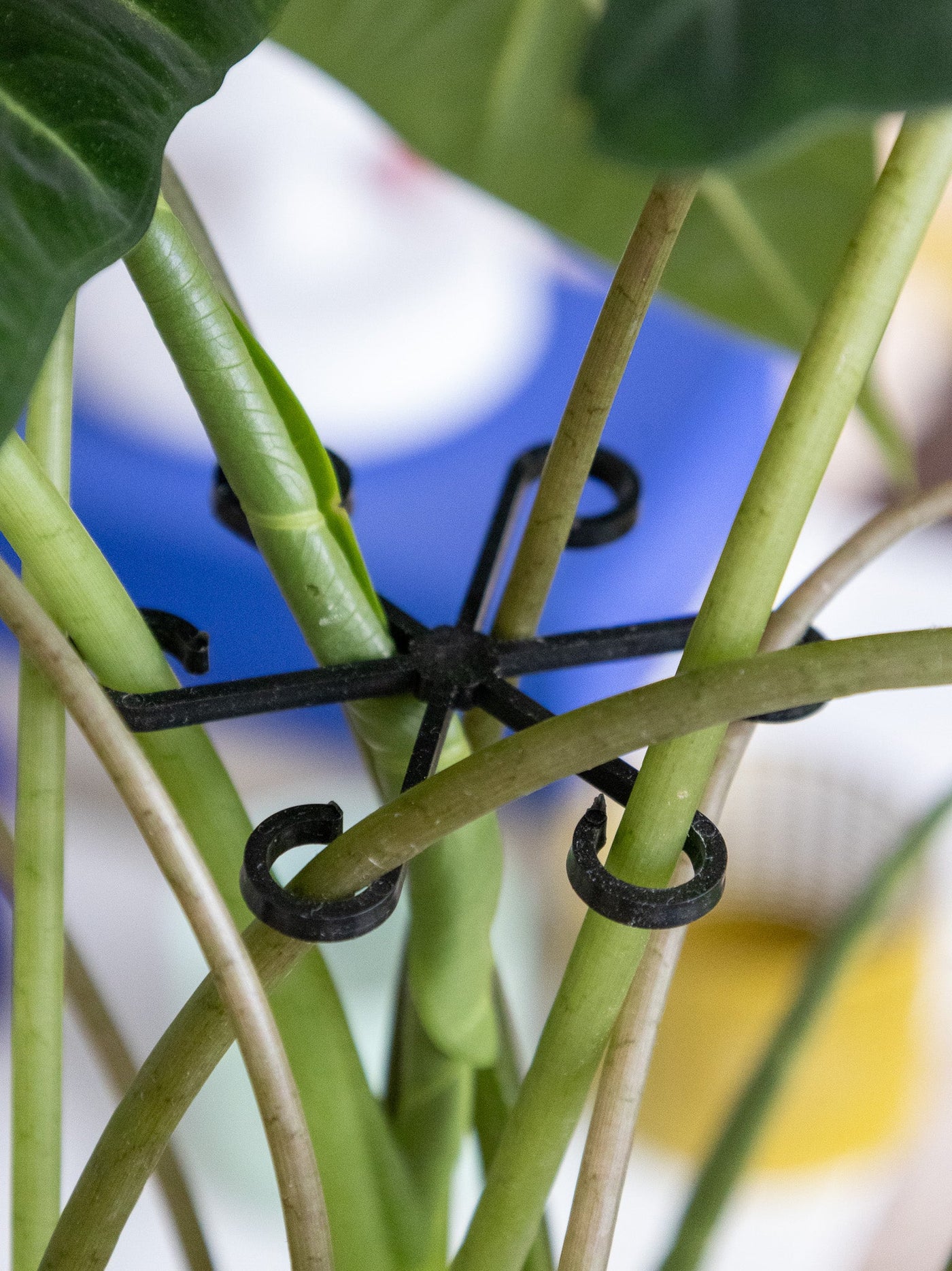 VineFrame™ – Stilfuld Planteholder