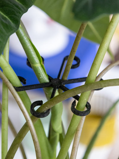 VineFrame™ – Stilfuld Planteholder