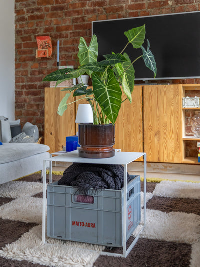 VineFrame™ – Stilfuld Planteholder
