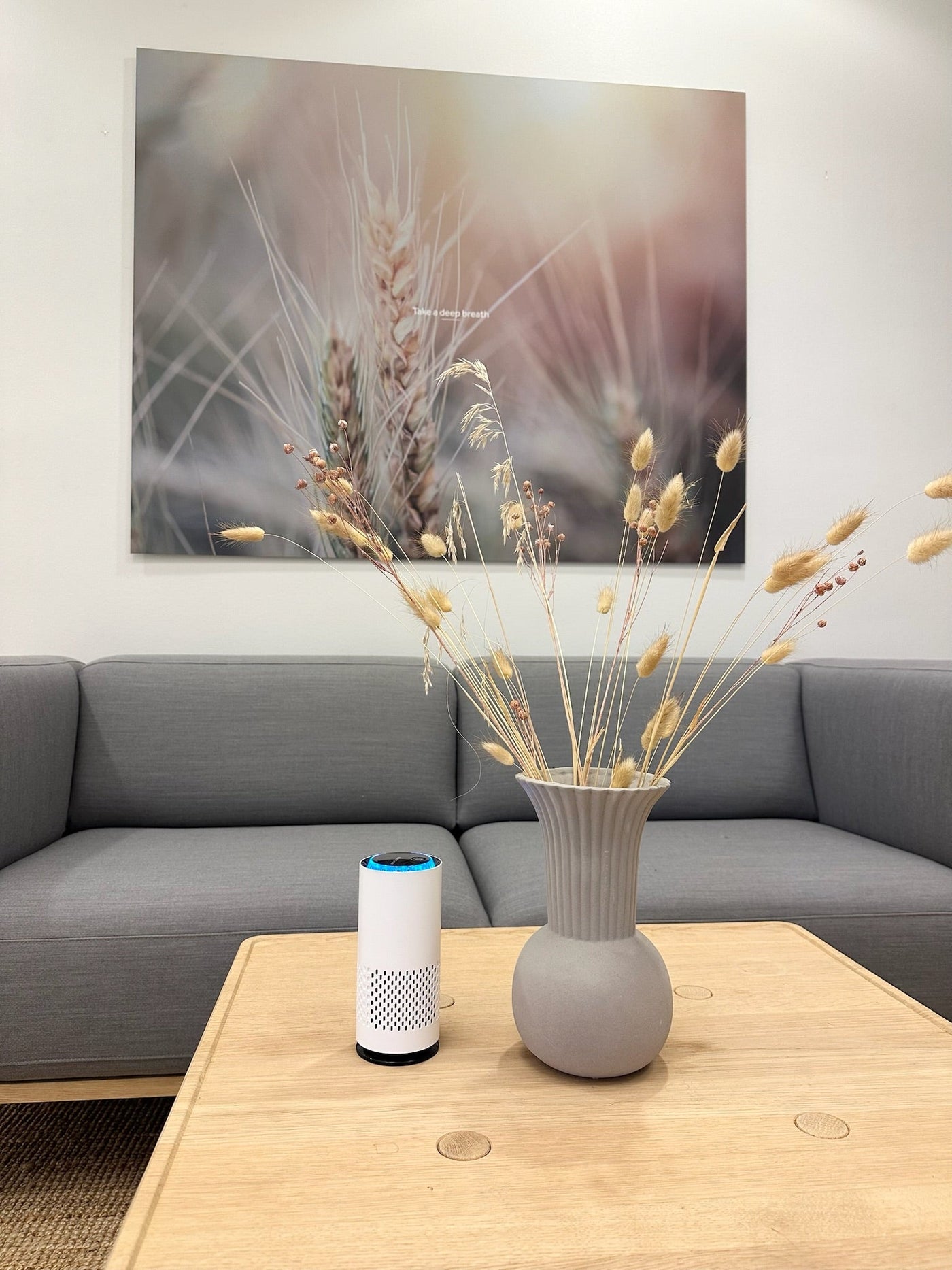 AeroPure™ – Kompakt & Støjsvag Luftrenser
