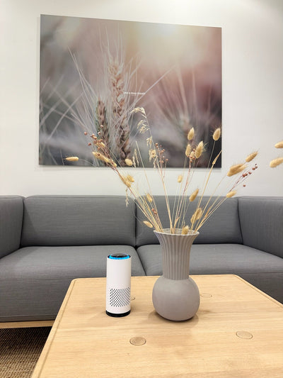 AeroPure™ – Kompakt & Støjsvag Luftrenser