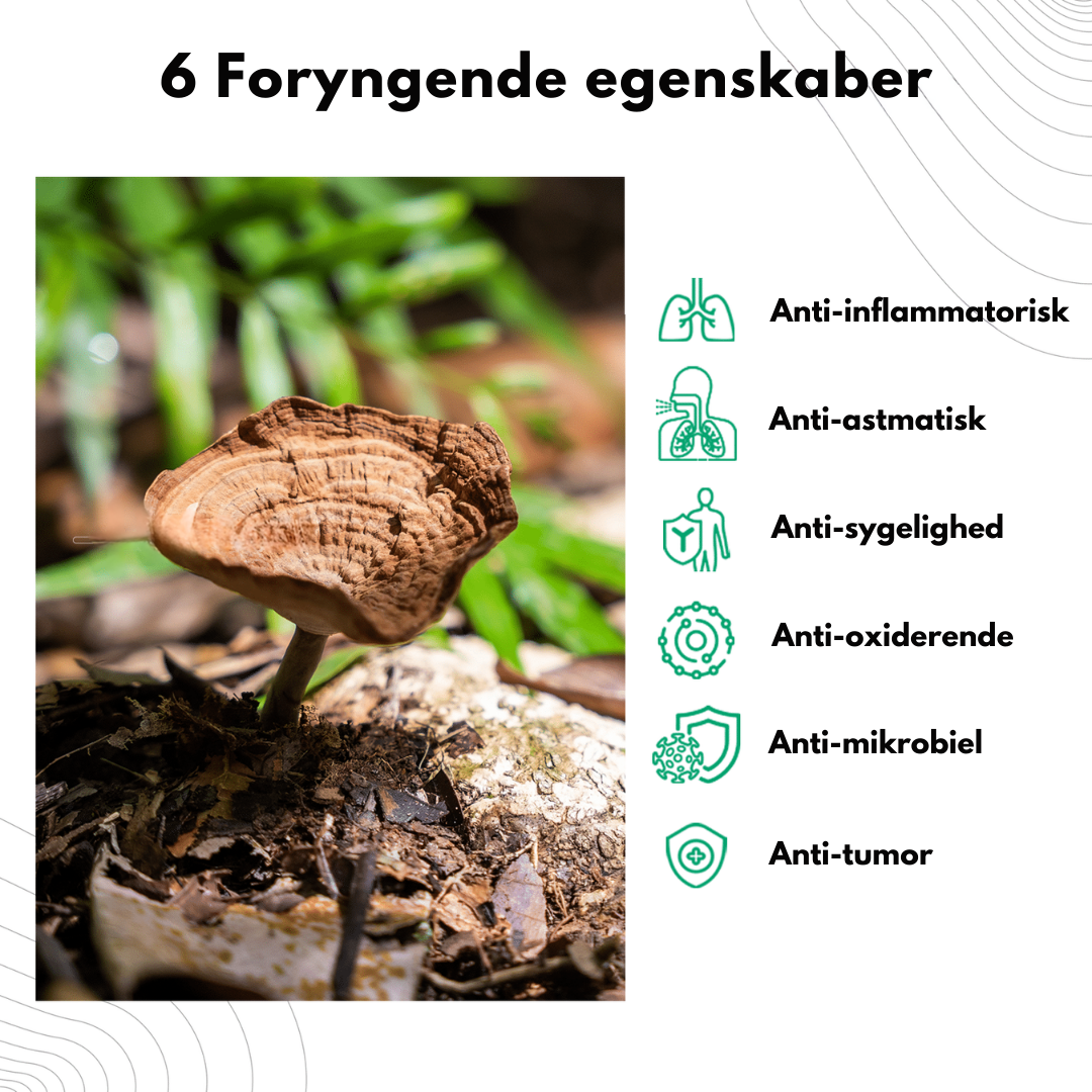 AirNatura™ – Naturlig Dyb Indånding