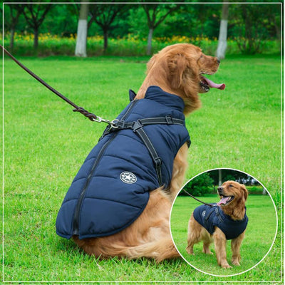 PawGear™ - Den ultimative hundejakke