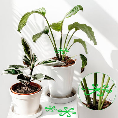VineFrame™ – Stilfuld Planteholder