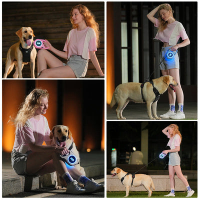 Luma™ - LED Hundesnor med Lommelygte