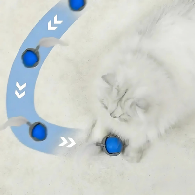 ChaseWhirl™ – Smart Interaktiv Kattebold