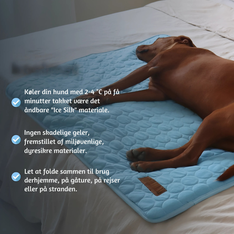 ChillPaws™ – Hundemåtte med Øjeblikkelig Afkøling