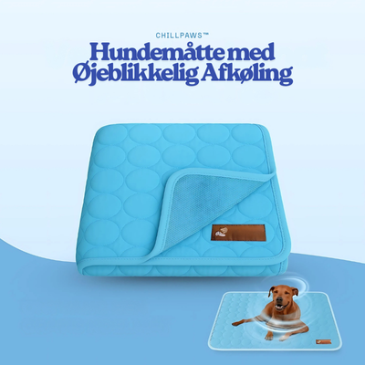 ChillPaws™ – Hundemåtte med Øjeblikkelig Afkøling
