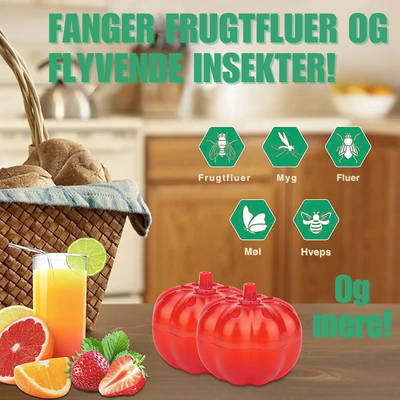 FlyFree™ – Giftfri Frugtfluefælde i Form Af et Græskar
