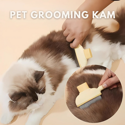 FurGleam™ – Selv-rensende Børste til Pelspleje