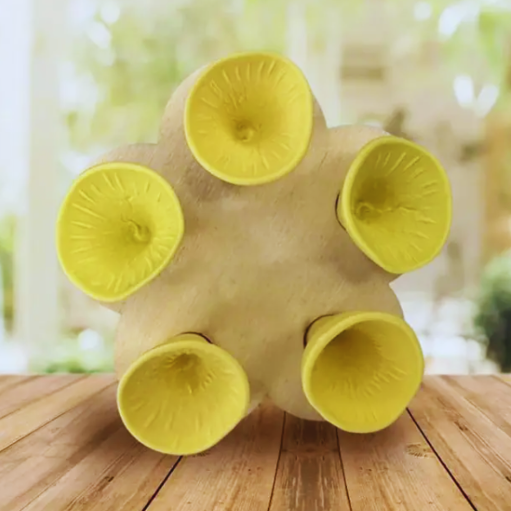 Buzzlet™ – Blomsterinspireret vandkilde til bestøvere