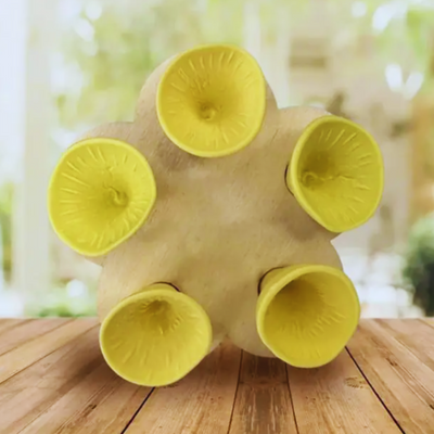 Buzzlet™ – Blomsterinspireret vandkilde til bestøvere