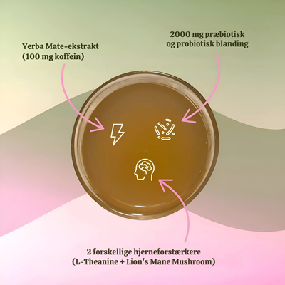MystiLeaf™ – Forfriskende Sund Wellness Te