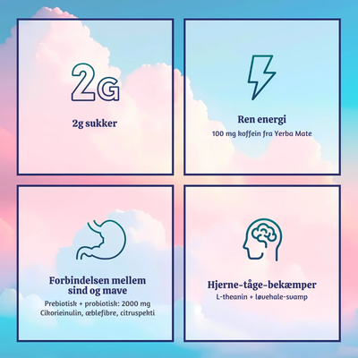 MystiLeaf™ – Forfriskende Sund Wellness Te