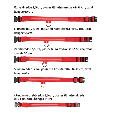 NightPup™ – LED Sikkerheds-Glødhalsbånd til Hund