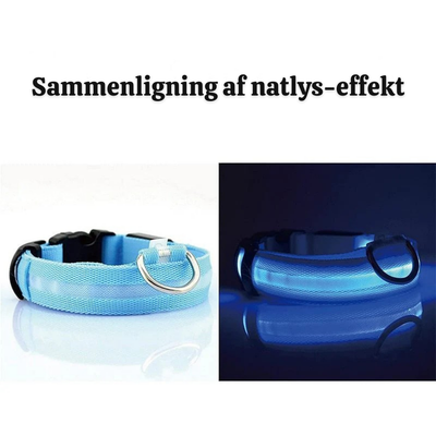 NightPup™ – LED Sikkerheds-Glødhalsbånd til Hund