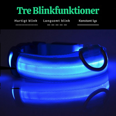 NightPup™ – LED Sikkerheds-Glødhalsbånd til Hund