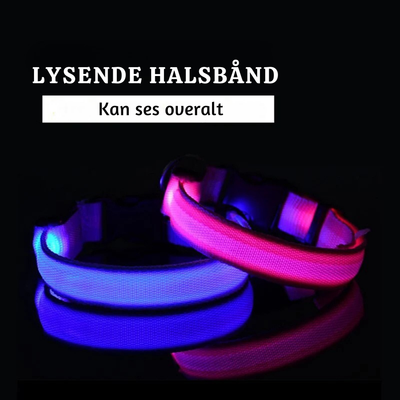 NightPup™ – LED Sikkerheds-Glødhalsbånd til Hund