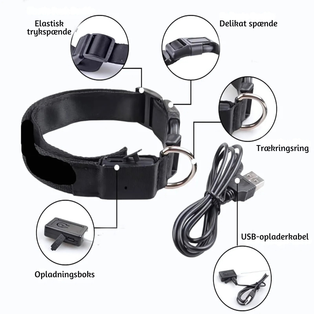 NightPup™ – LED Sikkerheds-Glødhalsbånd til Hund