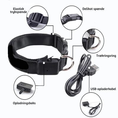 NightPup™ – LED Sikkerheds-Glødhalsbånd til Hund