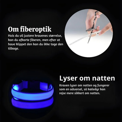 NightPup™ – LED Sikkerheds-Glødhalsbånd til Hund