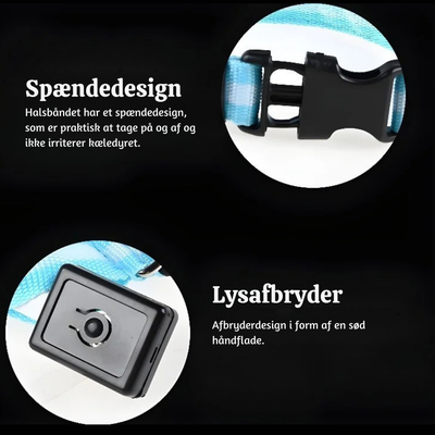 NightPup™ – LED Sikkerheds-Glødhalsbånd til Hund
