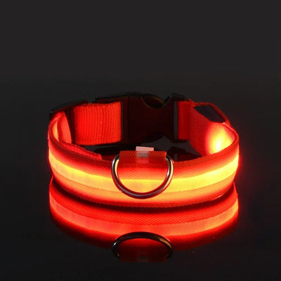 NightPup™ – LED Sikkerheds-Glødhalsbånd til Hund