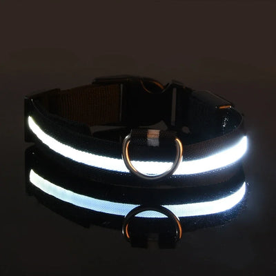 NightPup™ – LED Sikkerheds-Glødhalsbånd til Hund