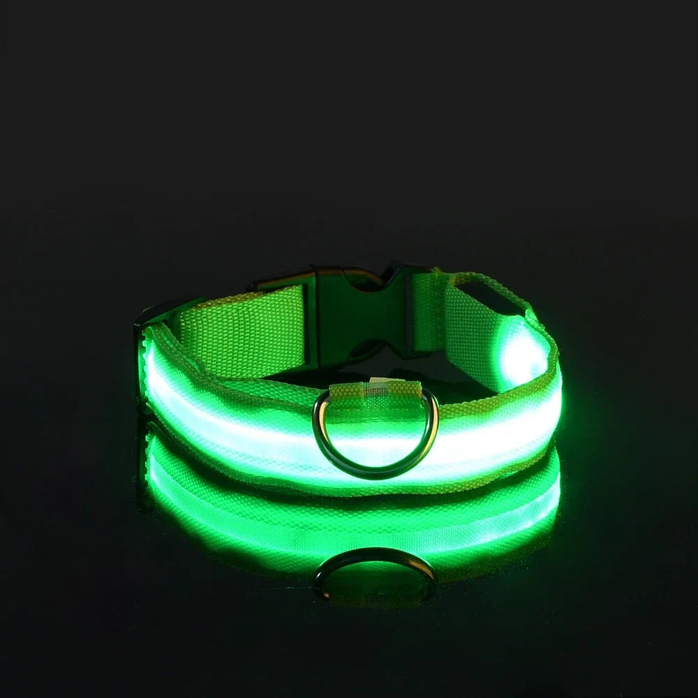 NightPup™ – LED Sikkerheds-Glødhalsbånd til Hund