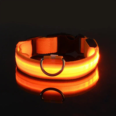 NightPup™ – LED Sikkerheds-Glødhalsbånd til Hund