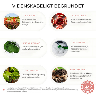 SlimPatch™ – Nemt Naturligt Fedtforbrændende Plaster