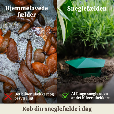 SnailTrap™ – Øko-venlig Skadedyrsbekæmpelse