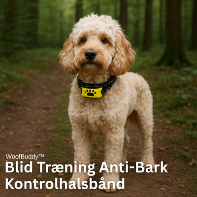 WoofBuddy™ - Blid Træning Anti-Bark Kontrolhalsbånd
