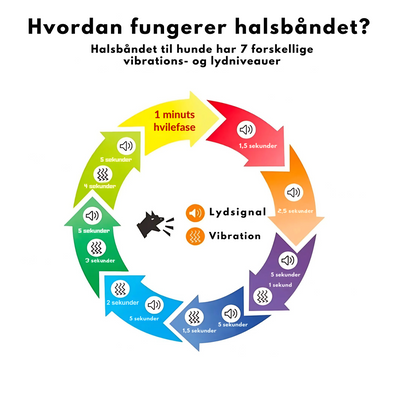 WoofBuddy™ - Blid Træning Anti-Bark Kontrolhalsbånd