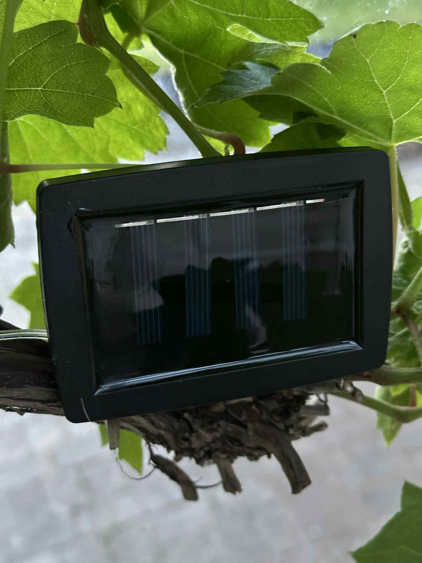 Laura™ – Solcelledriven LED-lysslinga