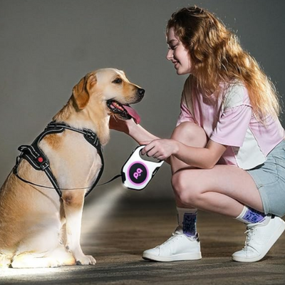 Luma™ - LED Hundesnor med Lommelygte