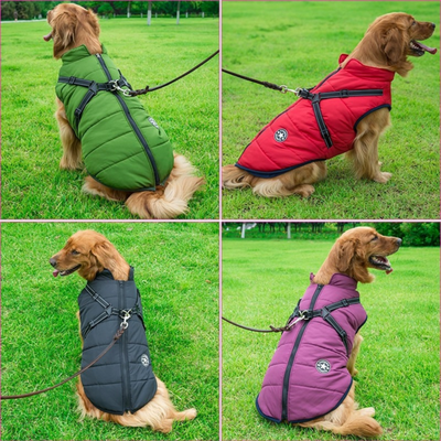 PawGear™ - Den ultimative hundejakke