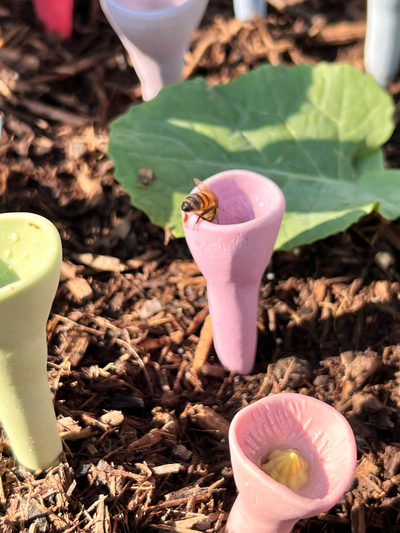 Buzzlet™ – Blomsterinspireret vandkilde til bestøvere